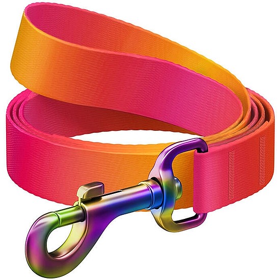 WAUDOG gradiens nylon kutyapóráz, 122 cm hosszú, narancssárga (46604)