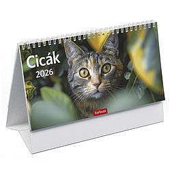 Asztali naptár 2026 képes TOPTIMER T058 álló fehér lapos Cicák