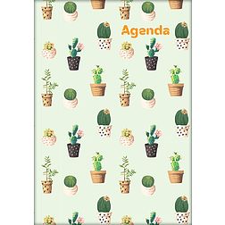 Dayliner agenda Colors A5 heti Cactus 2026