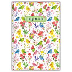 Dayliner agenda Colors A5 heti Nature zöld 2026