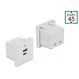 Delock Easy 45 USB töltő port modul 1 x A-típusú és 1 x USB Type-C csatlakozó felülettel (81313)