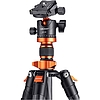 Állvány K&F Concept D254C1+BH-28L (KF09.109)