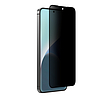 AmazingThing Radix Privacy Glass edzett üveg Samsung Galaxy S25 készülékhez