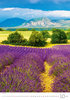 Dayliner 2027 falinaptár Provence
