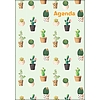 Dayliner agenda Colors A5 heti Cactus 2026