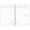 Dayliner agenda Mirror B6 heti ezüst 2026