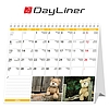 Dayliner asztali naptár Teddy álló mini 2026