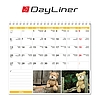 Dayliner asztali naptár Teddy álló mini 2026