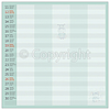 Dayliner falinaptár 300x600mm Family Planner