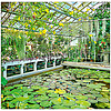 Dayliner falinaptár 300x600mm Gardens LP