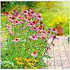 Dayliner falinaptár 300x600mm Gardens LP