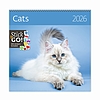 Dayliner falinaptár Cats LP 2026