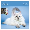Dayliner falinaptár Cats LP 2026