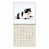 Dayliner falinaptár Cats LP 2026