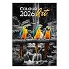 Dayliner falinaptár Colour Art 2026