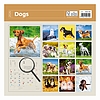 Dayliner falinaptár Dogs LP 2026