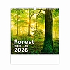 Dayliner falinaptár Forest 2026