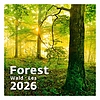 Dayliner falinaptár Forest 2026