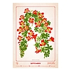 Dayliner falinaptár Herbarium 2026