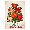 Dayliner falinaptár Herbarium 2026