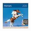 Dayliner falinaptár Horses LP 2026