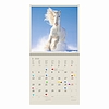 Dayliner falinaptár Horses LP 2026