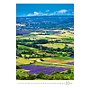 Dayliner falinaptár Provence 2026