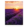 Dayliner falinaptár Provence 2026