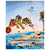 Dayliner falinaptár Salvador Dalí 420x560 mm reklámfelület 60mm 2024