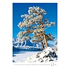 Dayliner falinaptár Trees 2026