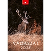 Dayliner falinaptár Vadászat B4 2026