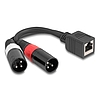 Delock Adapter RJ45 kábel anya - 2 x XLR 3 tűs apa, fekete színű 20 cm