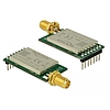 Delock IoT LoRa Radio Module 868 MHz 20 dBm TTL (3.3 V) pin header male > SMA jack (12591)