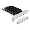 Delock PCI Express x8 Hailo-8 AI processzor x2 AI-Accelerator