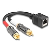 Delock RJ45 adapter kábel apa - 2 x RCA apa fekete, 20 cm