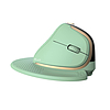 Delux M618XSD vezeték nélküli vertikális, ergonomikus egér BT+2.4G RGB menta (M618XSD (green))