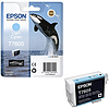 Epson UltraChrome 76 T7605 Light Cyan tintapatron eredeti 25,9ml C13T76054010 Kardszárnyú delfin