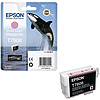 Epson UltraChrome 76 T7606 Light Magenta tintapatron eredeti 25,9ml C13T76064010 Kardszárnyú delfin