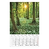 Falinaptár 2026 CSG 210x320mm álló Erdeink világa