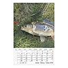 Falinaptár 2026 CSG 210x320mm álló Horgász