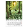 Falinaptár 2026 CSG 210x320mm álló Magyar tájak