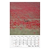 Falinaptár 2026 CSG 210x320mm álló Négy évszak