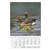 Falinaptár 2026 CSG 210x320mm álló Vizeink világa