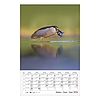 Falinaptár 2026 CSG 210x320mm álló Vizeink világa