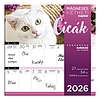 Falinaptár 2026 mágneses LIZZY CARD 220x220mm 2 hetes Cicák