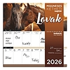 Falinaptár 2026 mágneses LIZZY CARD 220x220mm 2 hetes Lovak