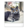 Falinaptár 2026 REALSYSTEM 300x340mm álló Cats