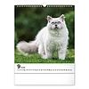 Falinaptár 2026 REALSYSTEM 300x340mm álló Cats