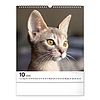 Falinaptár 2026 REALSYSTEM 300x340mm álló Cats