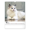 Falinaptár 2026 REALSYSTEM 300x340mm álló Cats